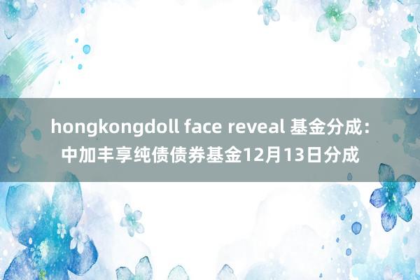 hongkongdoll face reveal 基金分成：中加丰享纯债债券基金12月13日分成