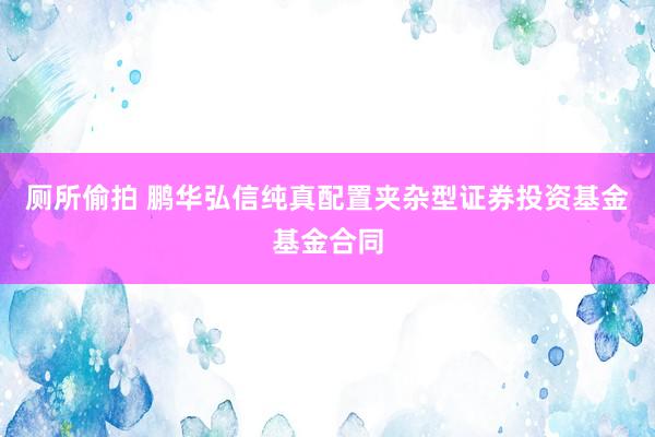 厕所偷拍 鹏华弘信纯真配置夹杂型证券投资基金基金合同