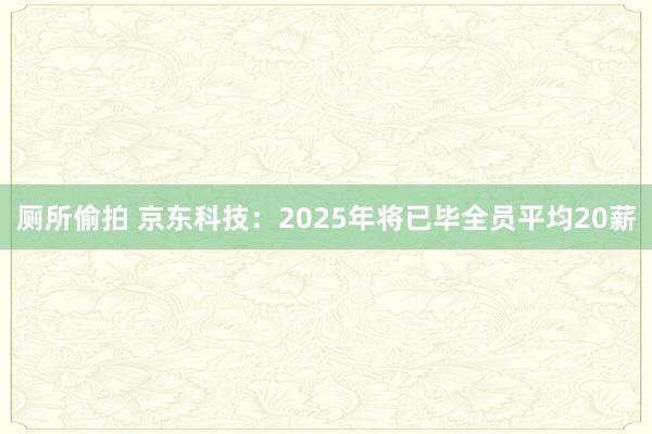 厕所偷拍 京东科技：2025年将已毕全员平均20薪