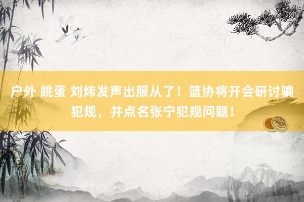 户外 跳蛋 刘炜发声出服从了！篮协将开会研讨骗犯规，并点名张宁犯规问题！