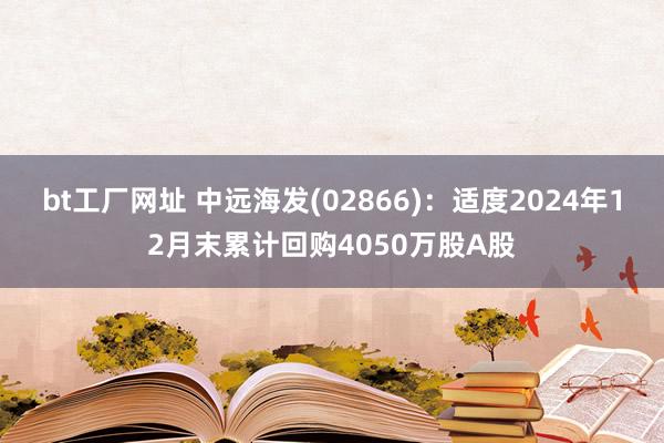 bt工厂网址 中远海发(02866)：适度2024年12月末累计回购4050万股A股