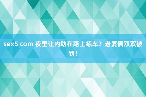 sex5 com 夜里让内助在路上练车？老婆俩双双被罚！