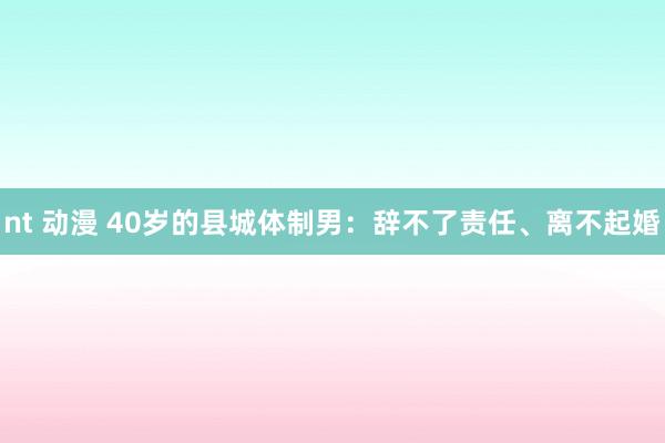 nt 动漫 40岁的县城体制男：辞不了责任、离不起婚