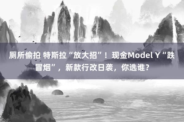 厕所偷拍 特斯拉“放大招”！现金Model Y“跌冒烟”，新款行改日袭，你选谁？