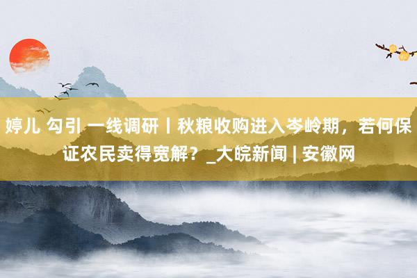 婷儿 勾引 一线调研丨秋粮收购进入岑岭期，若何保证农民卖得宽解？_大皖新闻 | 安徽网