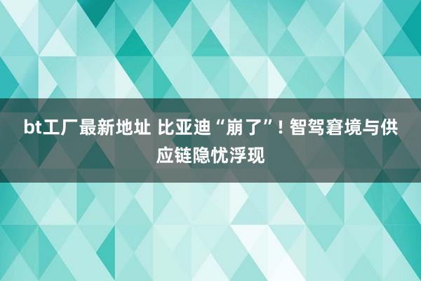 bt工厂最新地址 比亚迪“崩了”! 智驾窘境与供应链隐忧浮现