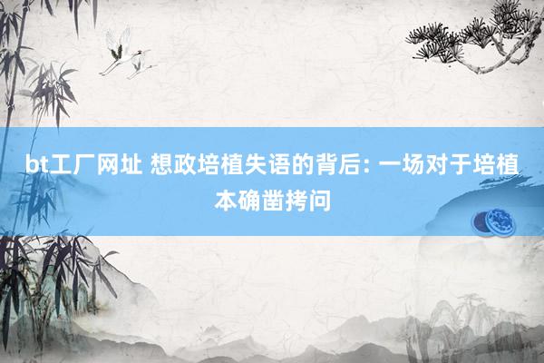 bt工厂网址 想政培植失语的背后: 一场对于培植本确凿拷问
